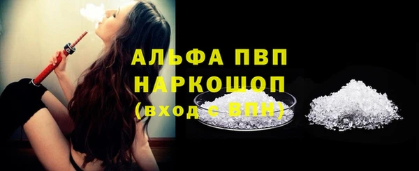 прущие грибы Новодвинск