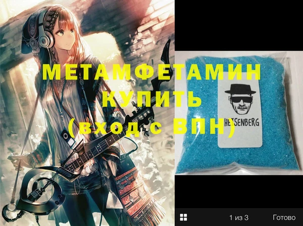 прущие грибы Новодвинск