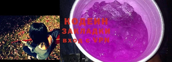 прущие грибы Новодвинск