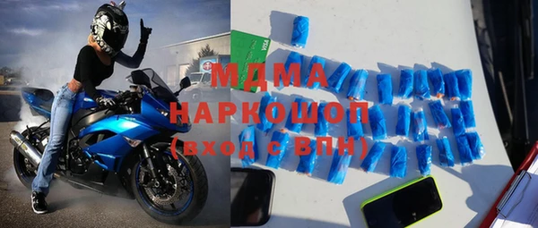 прущие грибы Новодвинск