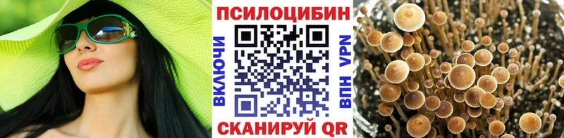 Купить  Райчихинск  Псилоцибиновые грибы Cubensis 